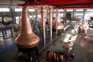 व्हिस्की के 7 विभिन्न प्रकार जिनके बारे में आपको जानना आवश्यक है