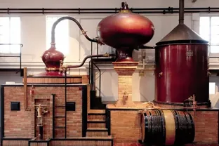 व्हिस्की और ब्रांडी बनाने की प्रक्रिया में अंतर